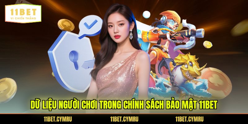 Dữ liệu người chơi trong chính sách bảo mật 11BET